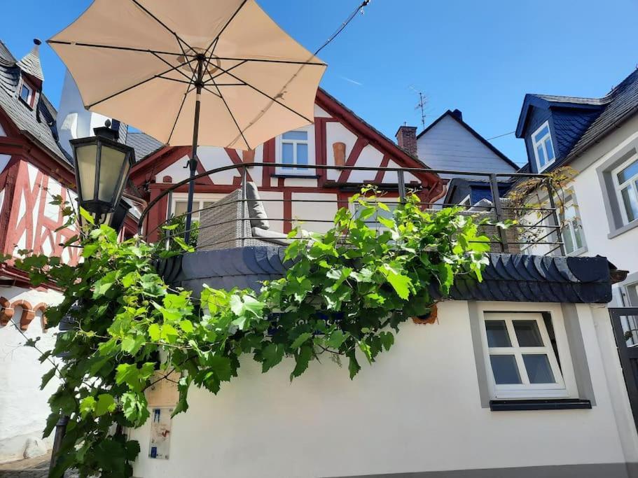 Apartamento Modernes Tiny House Mit Sonnenterrasse Ediger-Eller Exterior foto